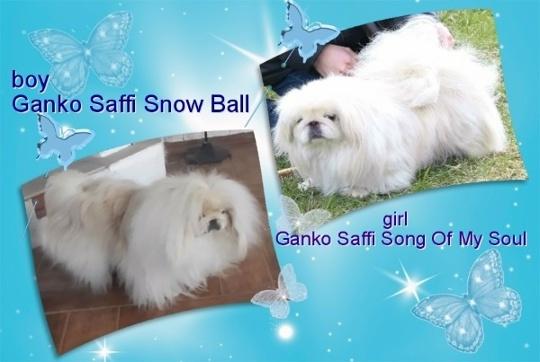 Прикрепленное изображение: 87ugkkZupEteBWaV1mwhCP1djlpd8qosrBfYoGqOvrUBY7O7W0T_1ZxImrLp-whzG3c4Y4ygWOnUHM6WOAabpFh1.jpg